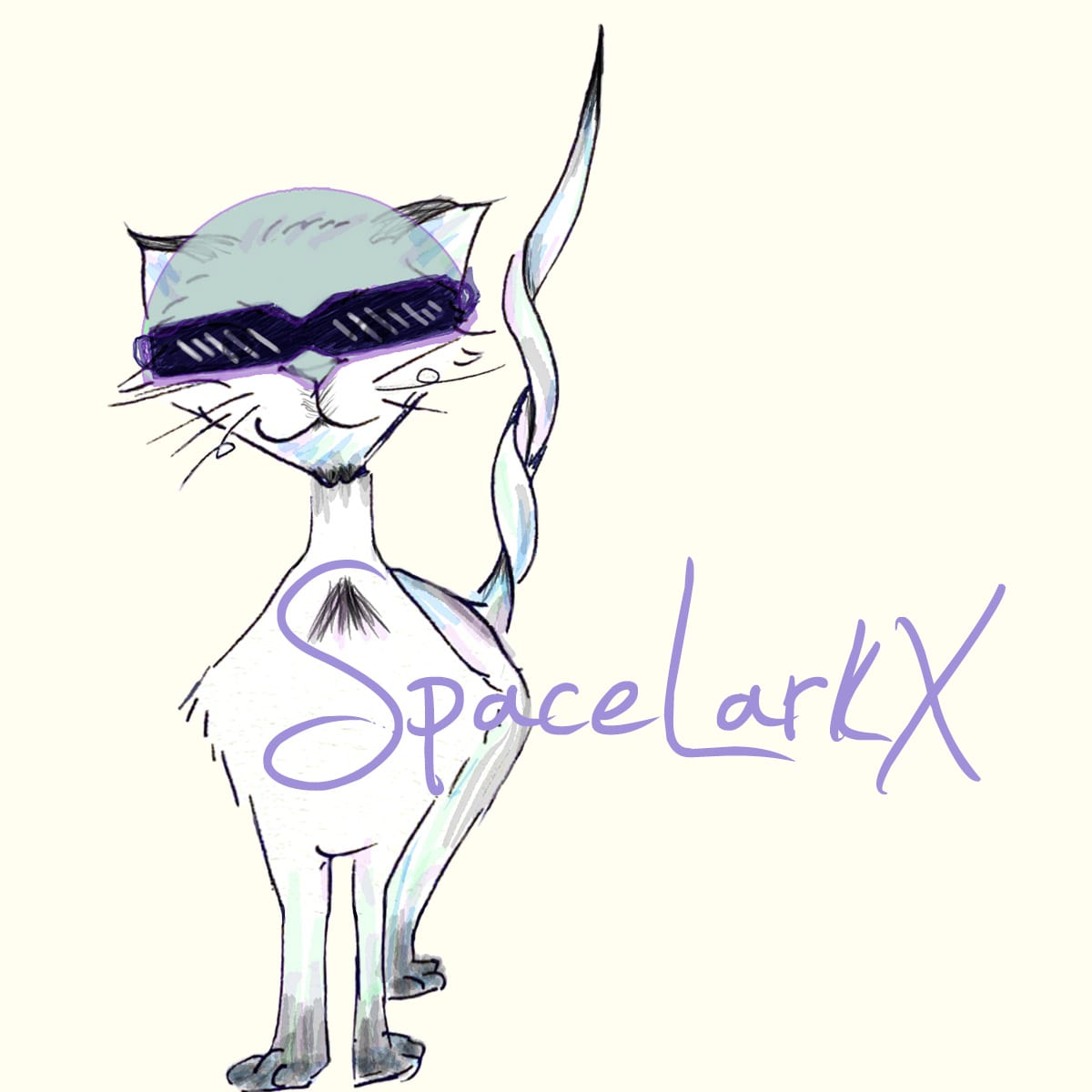 SpaceLarkX